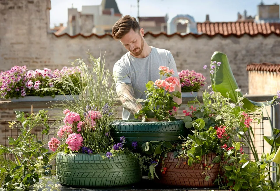 A man tending plants in a garden